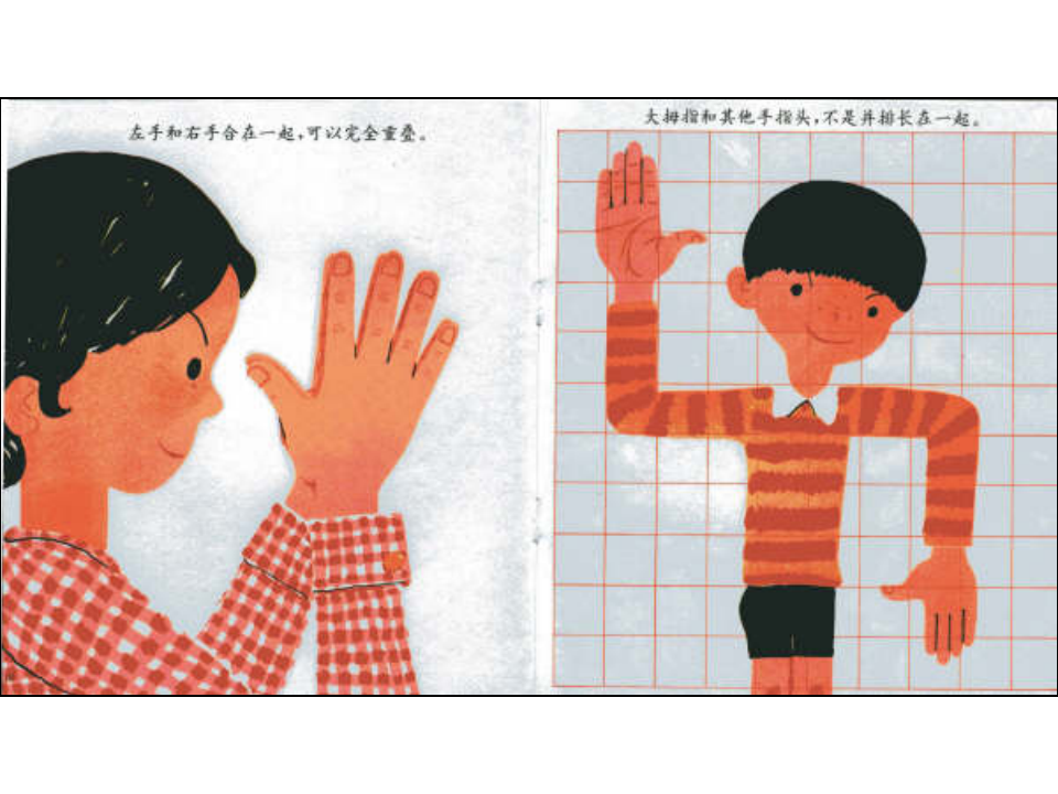 N12-中班语言《手和手指头》 课件_06.png