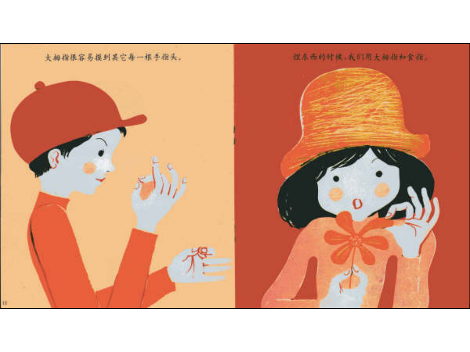 N12-中班语言《手和手指头》 课件_07.png