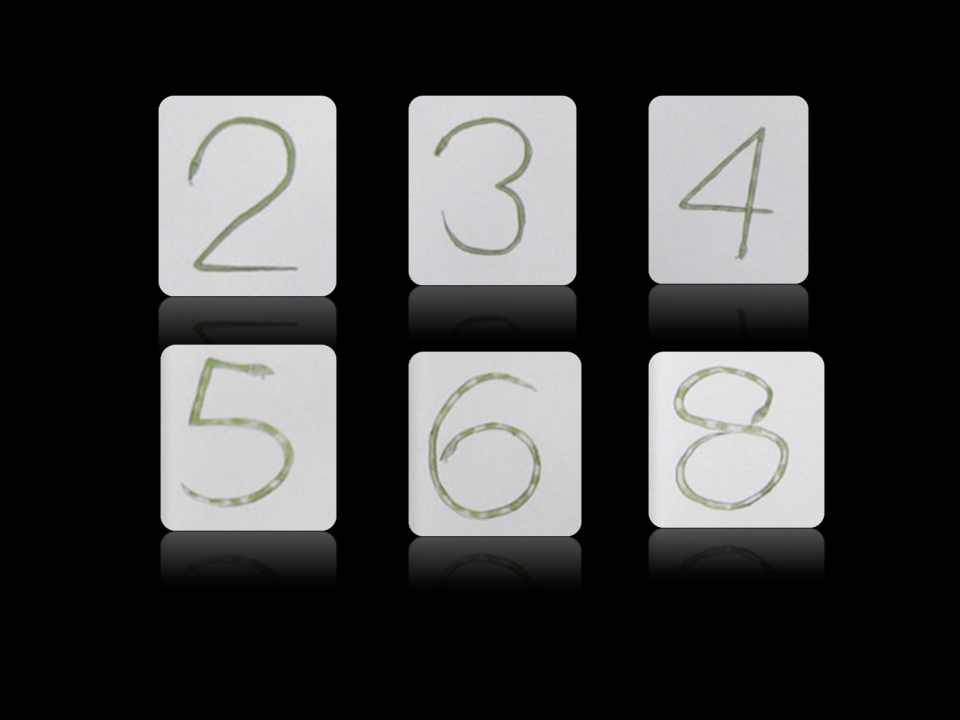 D111情景阅读 中班 《克里克塔》_11.png