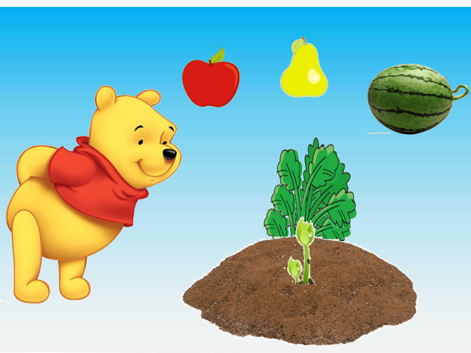 小班语言《熊宝宝的小芽芽》课件_09.png