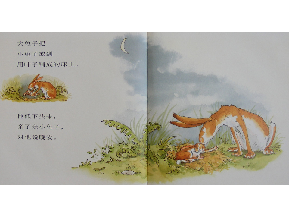 猜猜我有多爱你x_16.png