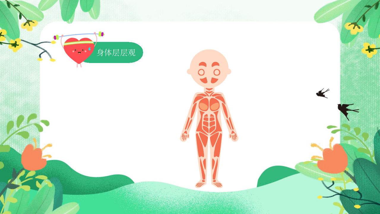 中班 《我强壮的身体》_05.png