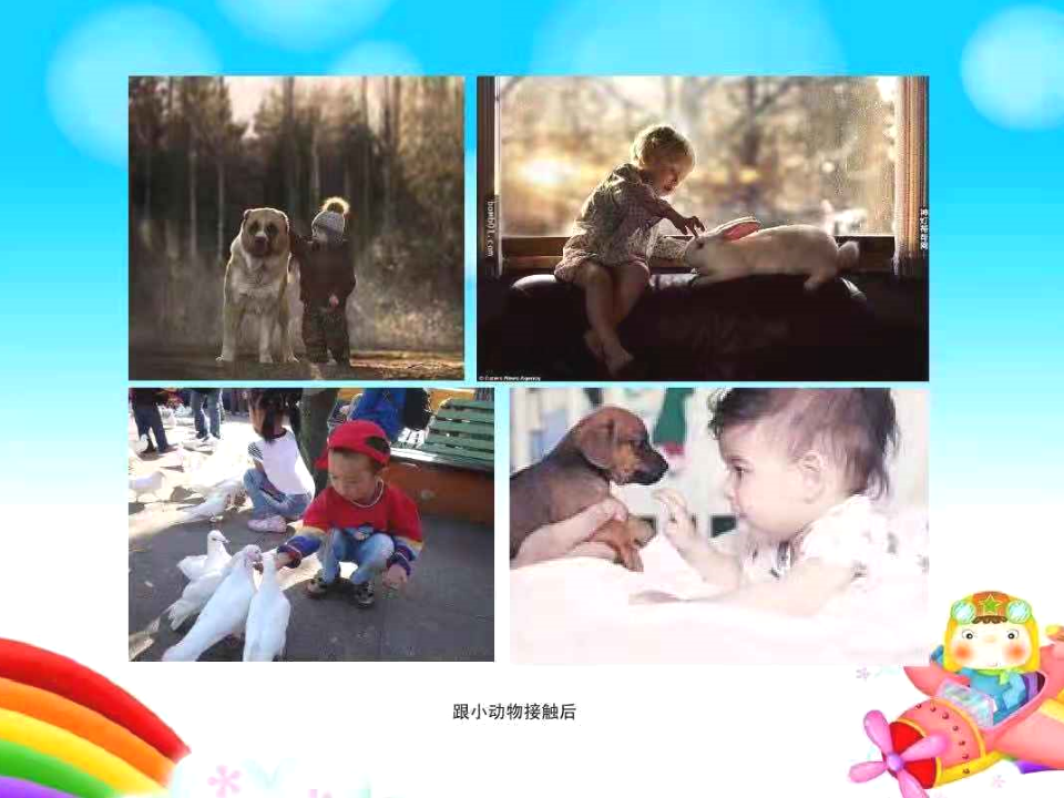 中班健康《小手真干净》微课件_05.png