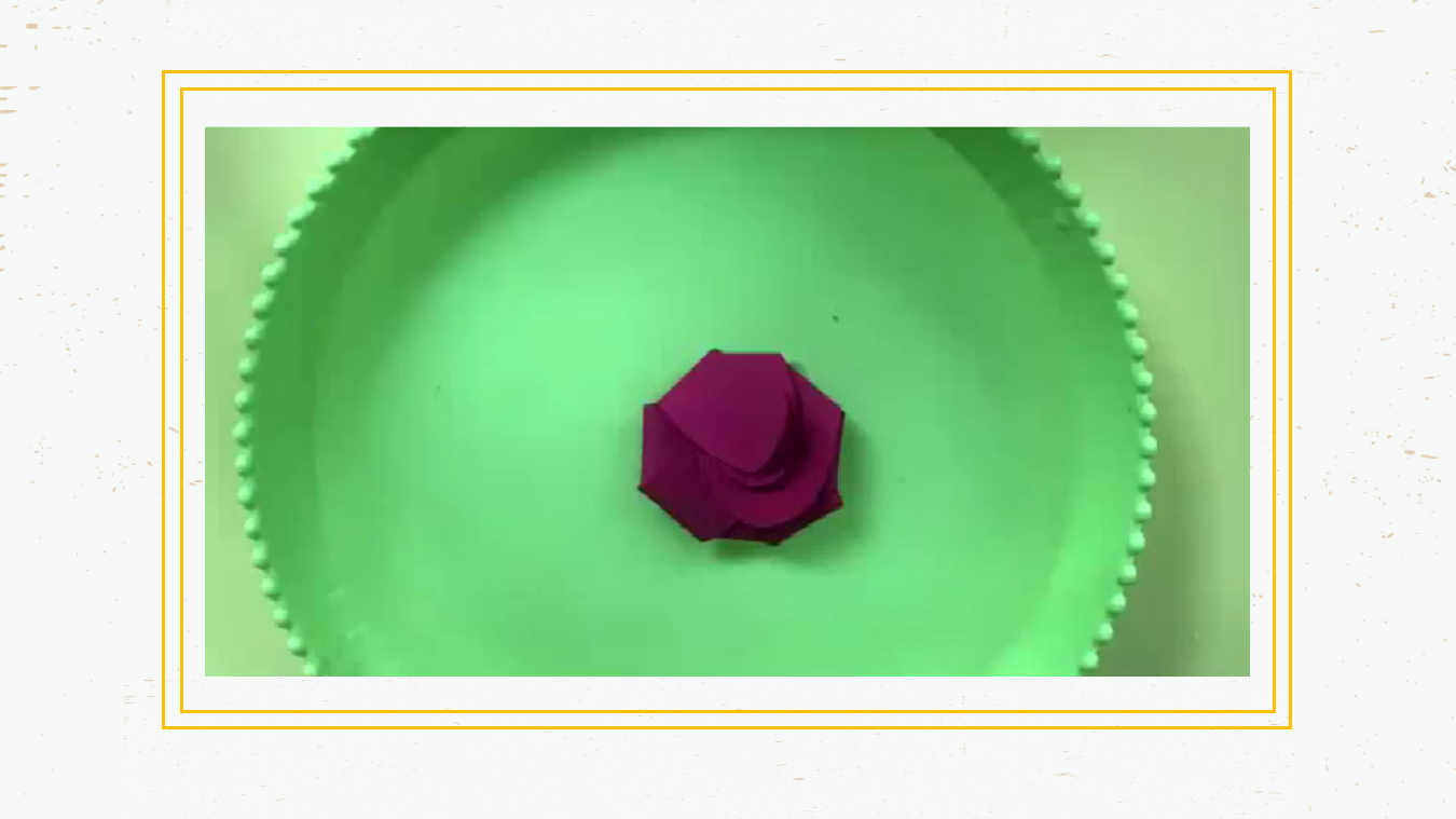 中班科学《开花了》微课件_10.png