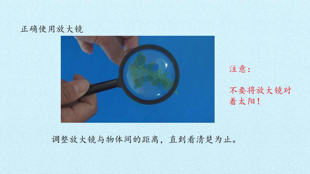 一年级上册科学课件-第三单元 家中的物品 复习课件-鄂教版共18张PPT_12.png