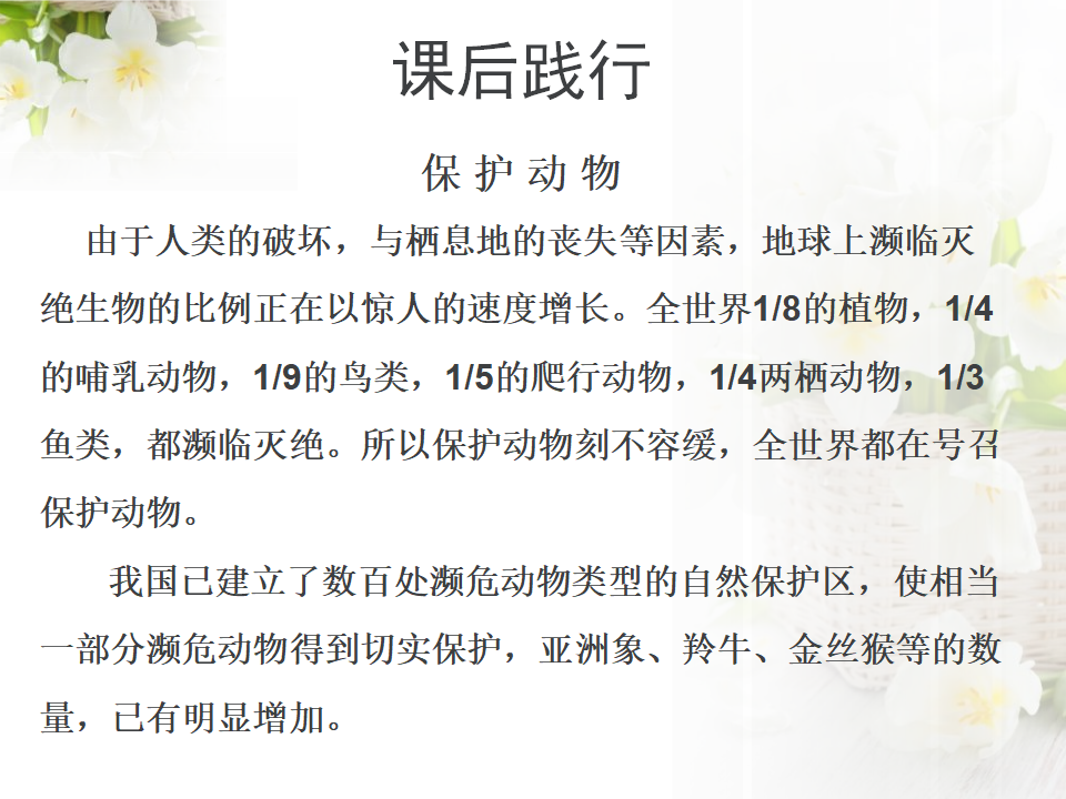 一年级上册科学课件-2.5猫和兔-人教版（2017）（共28张PPT）_28.png