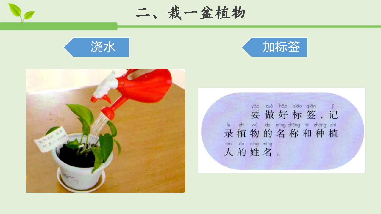 【教学课件】1 养植物 示范课件1_08.png