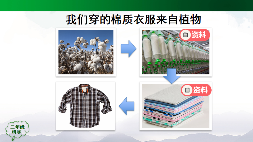 1.3 我们离不开植物（ 课件49张ppt_17.png