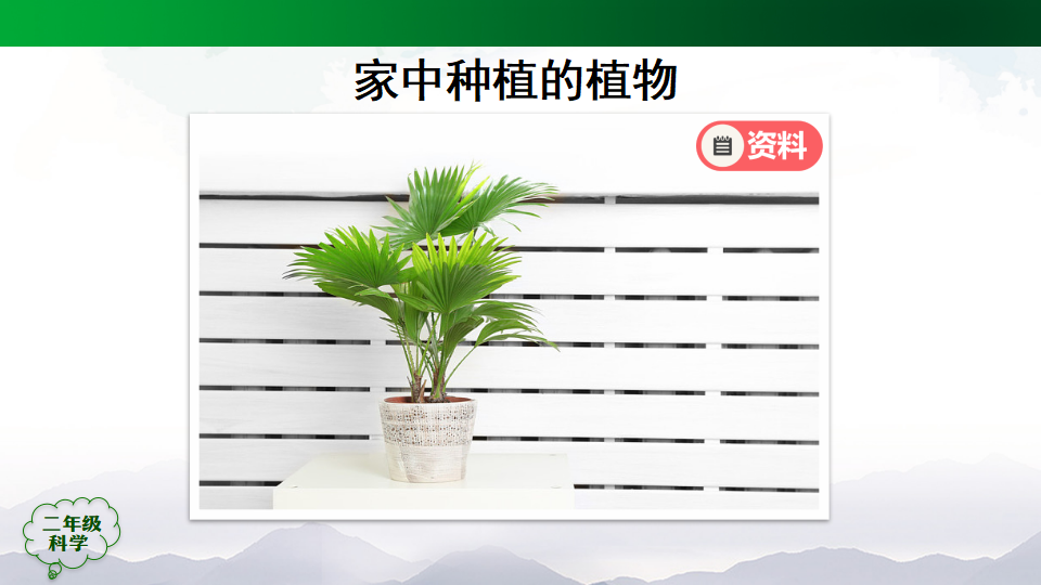 1.1 养植物 课件 第02课时 27张ppt 2个内嵌视频_04.png