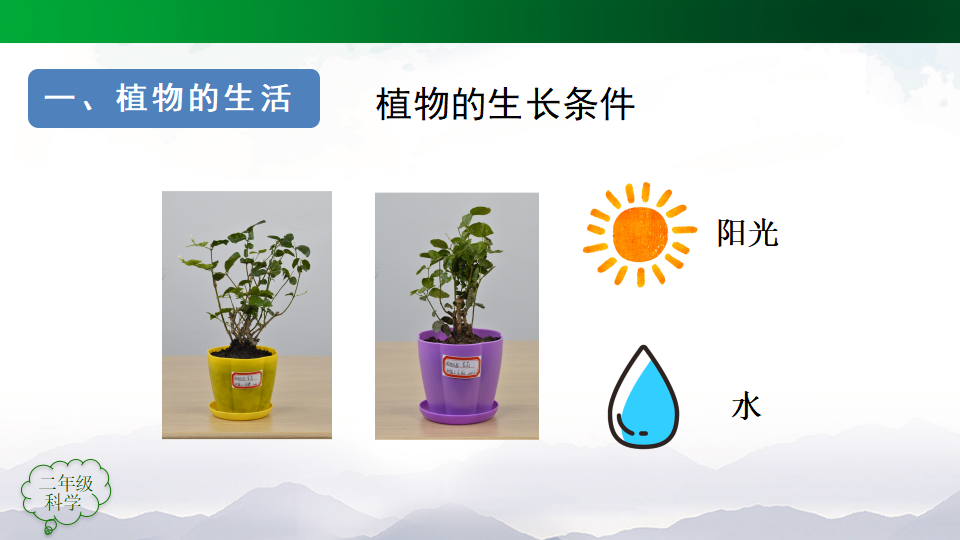 二年级上册科学课件-期末总结回顾人教版共28张PPT_12.png