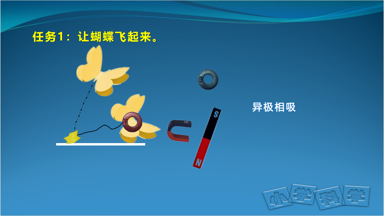 一年级下册科学课件-总复习 人教鄂教版_29.png