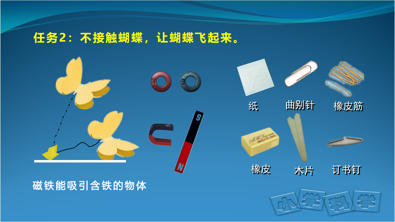 一年级下册科学课件-总复习 人教鄂教版_31.png