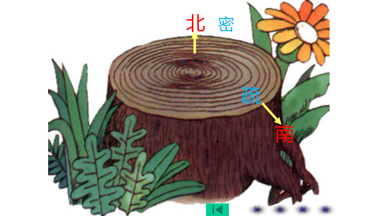 5 东南西北 课件（18张PPT）_07.png