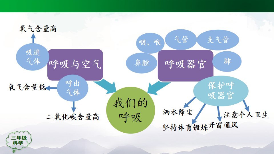 【复习课件】-第04单元我们的呼吸人教版共25张PPT_25.png
