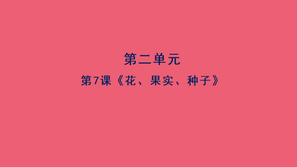 7《花、果实、种子》人教版（2017） 共13张PPT_01.png