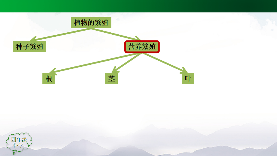 第02单元 动植物的繁殖 课件 103张ppt_53.png