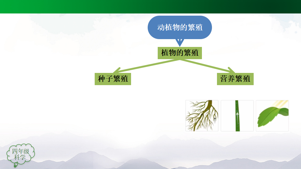 第02单元 动植物的繁殖 课件 103张ppt_58.png
