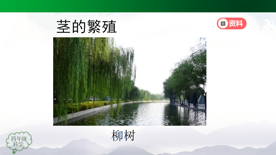 四年级 科学 不用种子怎样繁殖_27.png