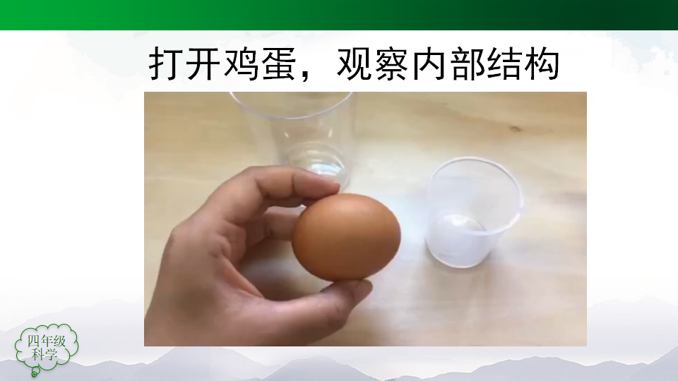 四年级 科学 《动物的繁殖 》_12.png