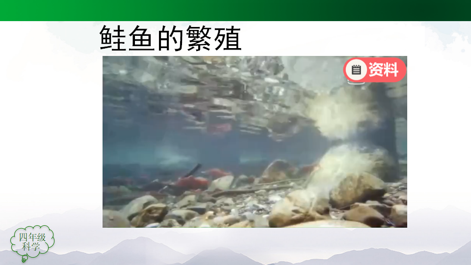 四年级 科学 《动物的繁殖 》_35.png