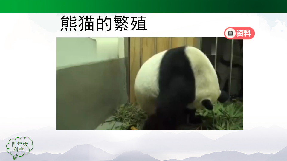 四年级 科学 《动物的繁殖 》_41.png