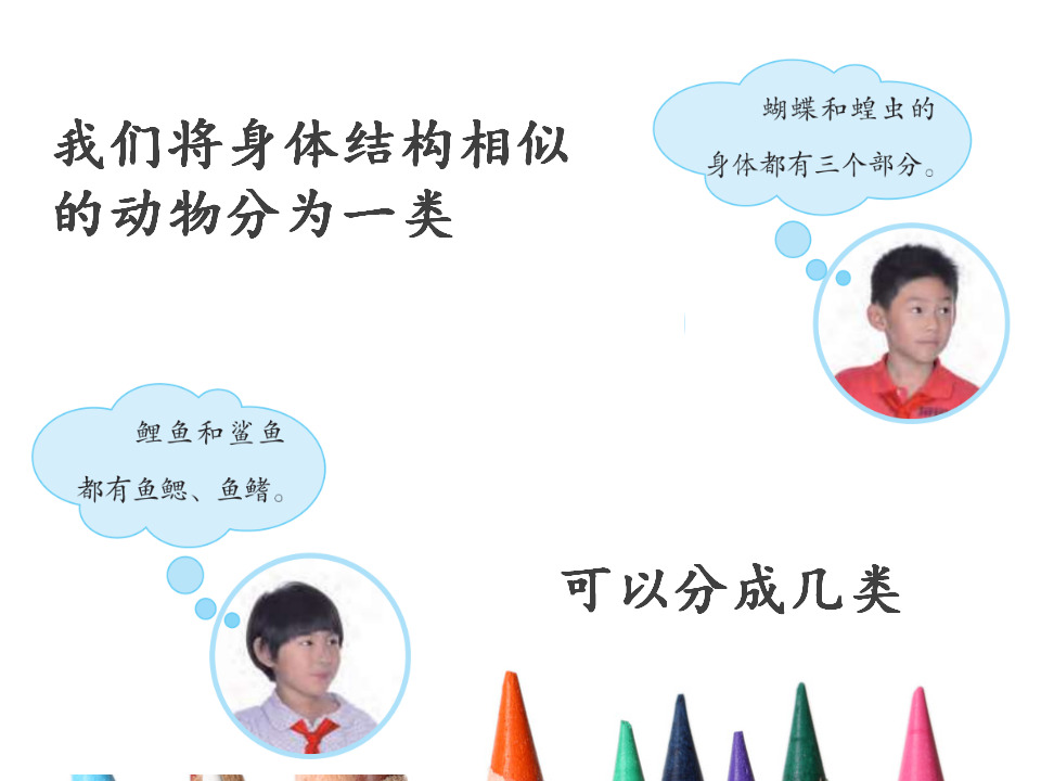 《动物的分类》_05.png