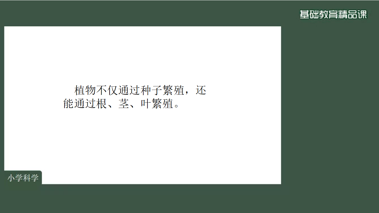 《不用种子怎样繁殖》PPT_28.png