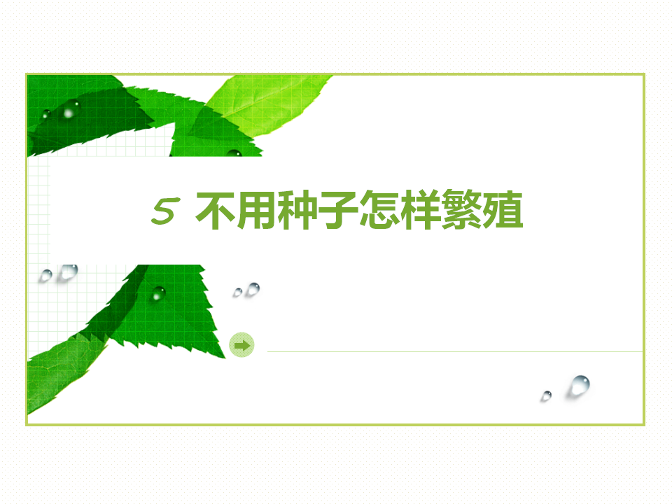 2.5 不用种子怎样繁殖 课件（10张PPT）_01.png