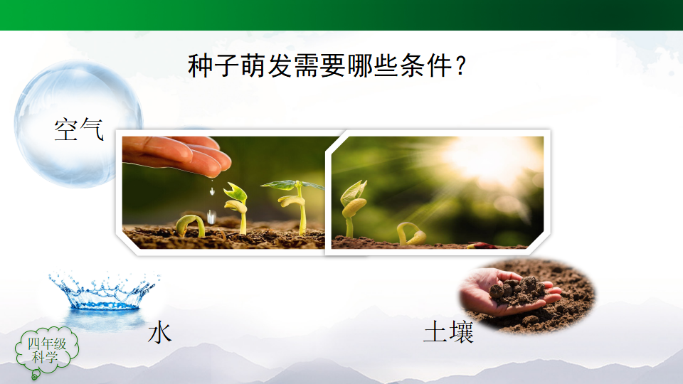 2.4用种子繁殖第二课时课件47张ppt 5个内嵌视频_07.png
