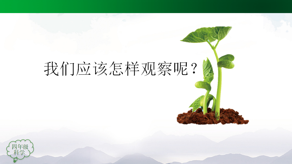 2.4 用种子繁殖（第一课时）课件61张ppt_10.png