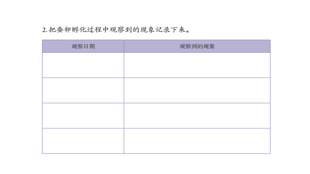 四年级【科学（人教鄂教版）】蚕出生了--课件_33.png