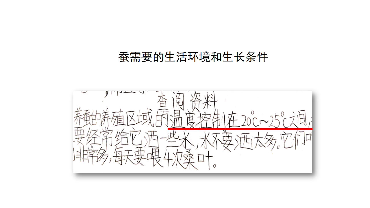 四年级【科学（人教鄂教版）】怎样养蚕-课件_11.png