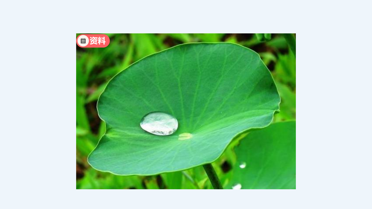 四年级【学科（人教鄂教版）】10《不同环境中的植物》-课件_14.png