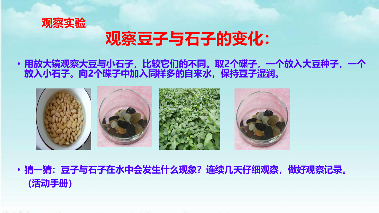 3.9生物与非生物 课件_09.png