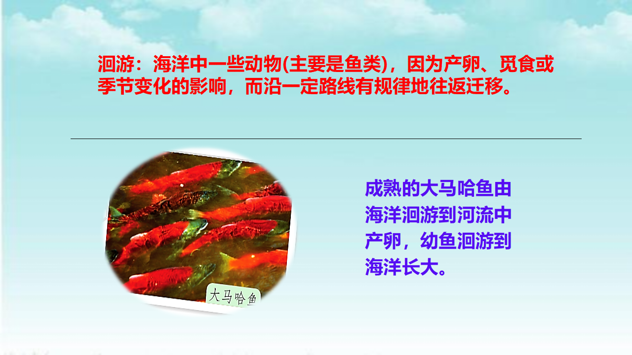 3.11不同环境中的动物 课件_24.png
