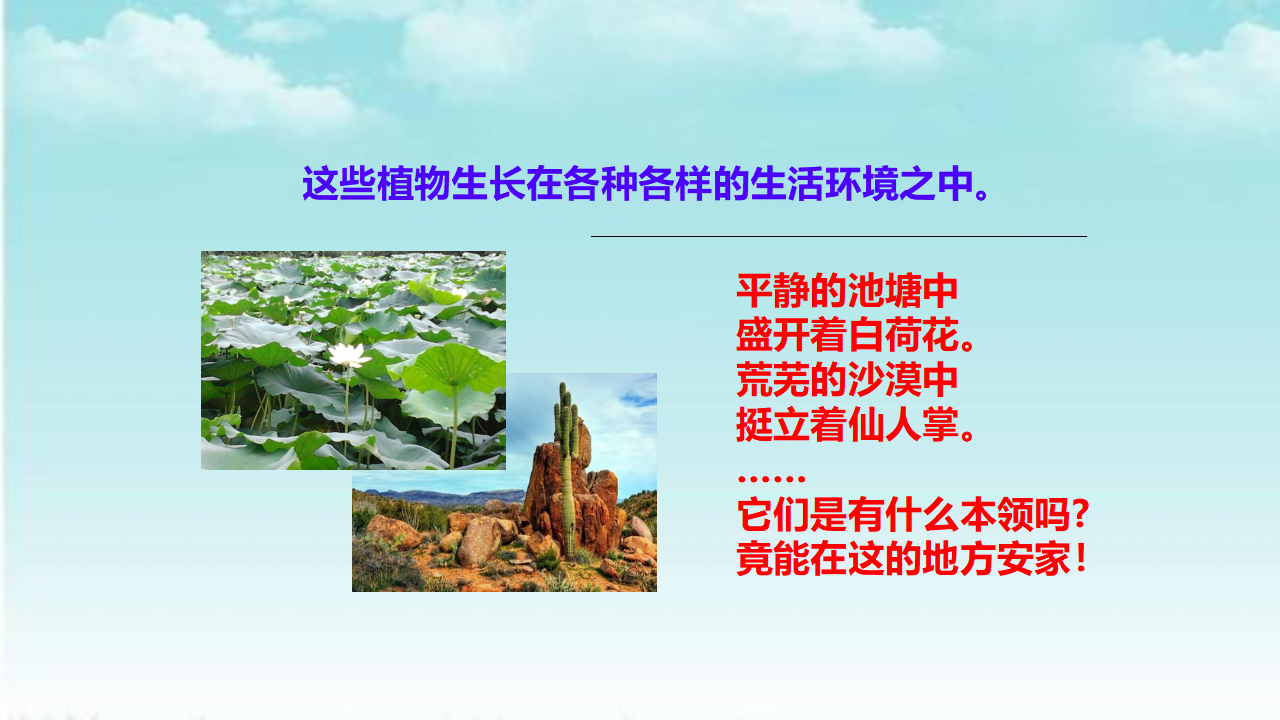 3.10不同环境中的植物课件_03.png