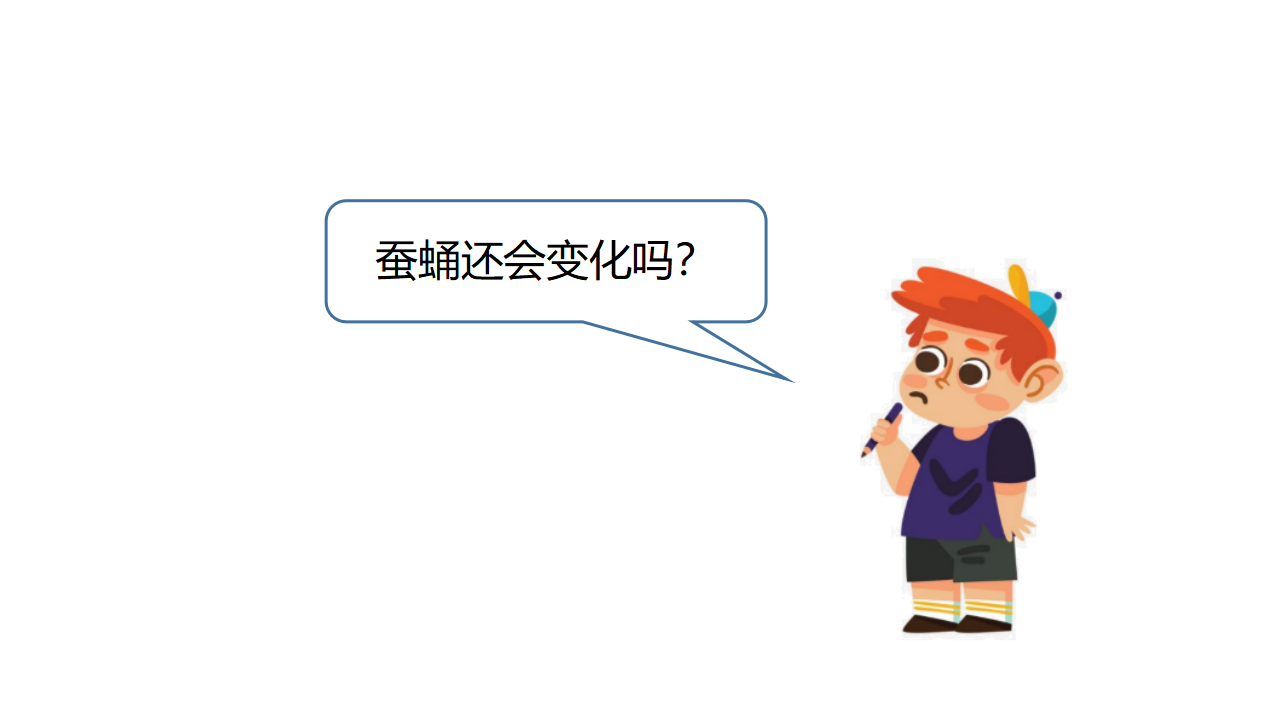 07：蚕的生长变化（第02课时）_07.png