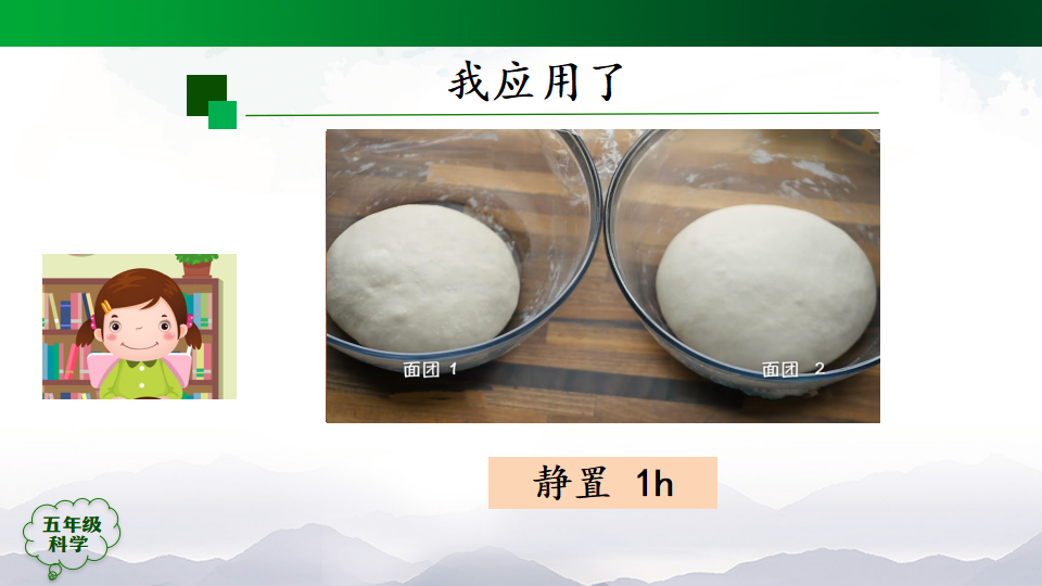 第三单元 显微镜下的生物世界 复习回顾（课件）_25.png