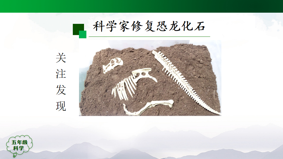灭绝的远古动物第一课时-课件（23张ppt）_14.png