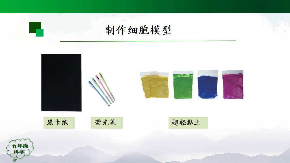 显微镜下的细胞第二课时 课件23张ppt 3个内嵌视频_06.png