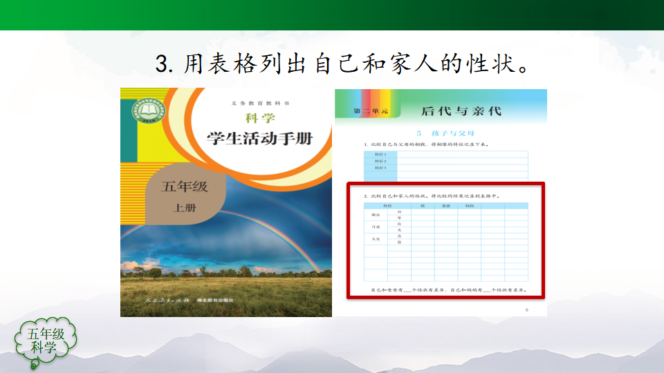 人教鄂教版小学科学五年级上册PPT课件全册_133.png