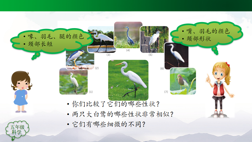 人教鄂教版小学科学五年级上册PPT课件全册_158.png