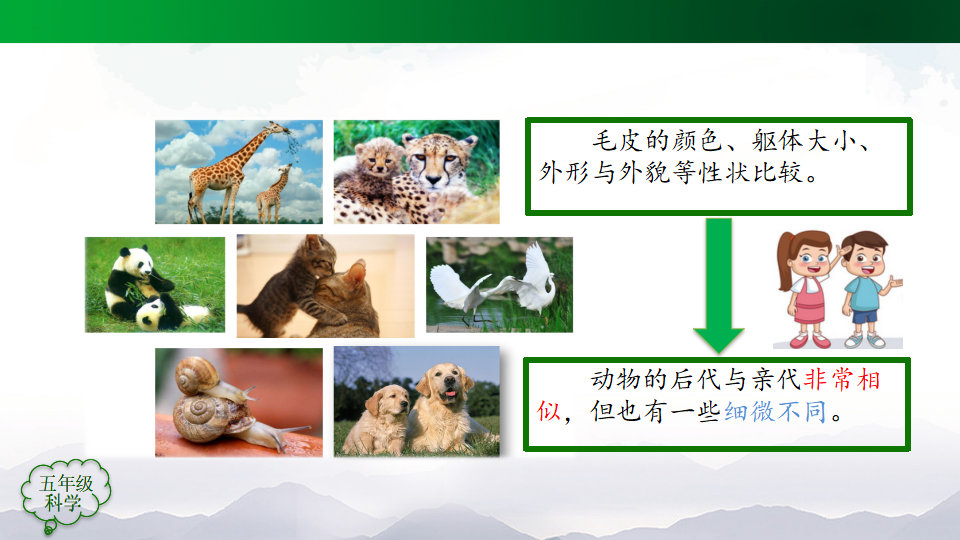 人教鄂教版小学科学五年级上册PPT课件全册_168.png