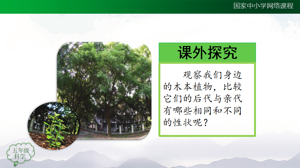 2.6 植物的后代与亲代 课件32张ppt 内嵌视频_32.png