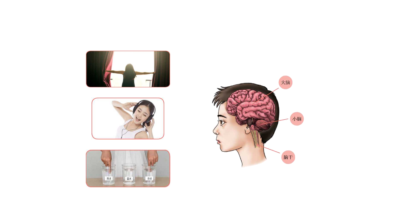 五年级【科学（人教鄂教版）】10-保护我们的身体-课件_02.png