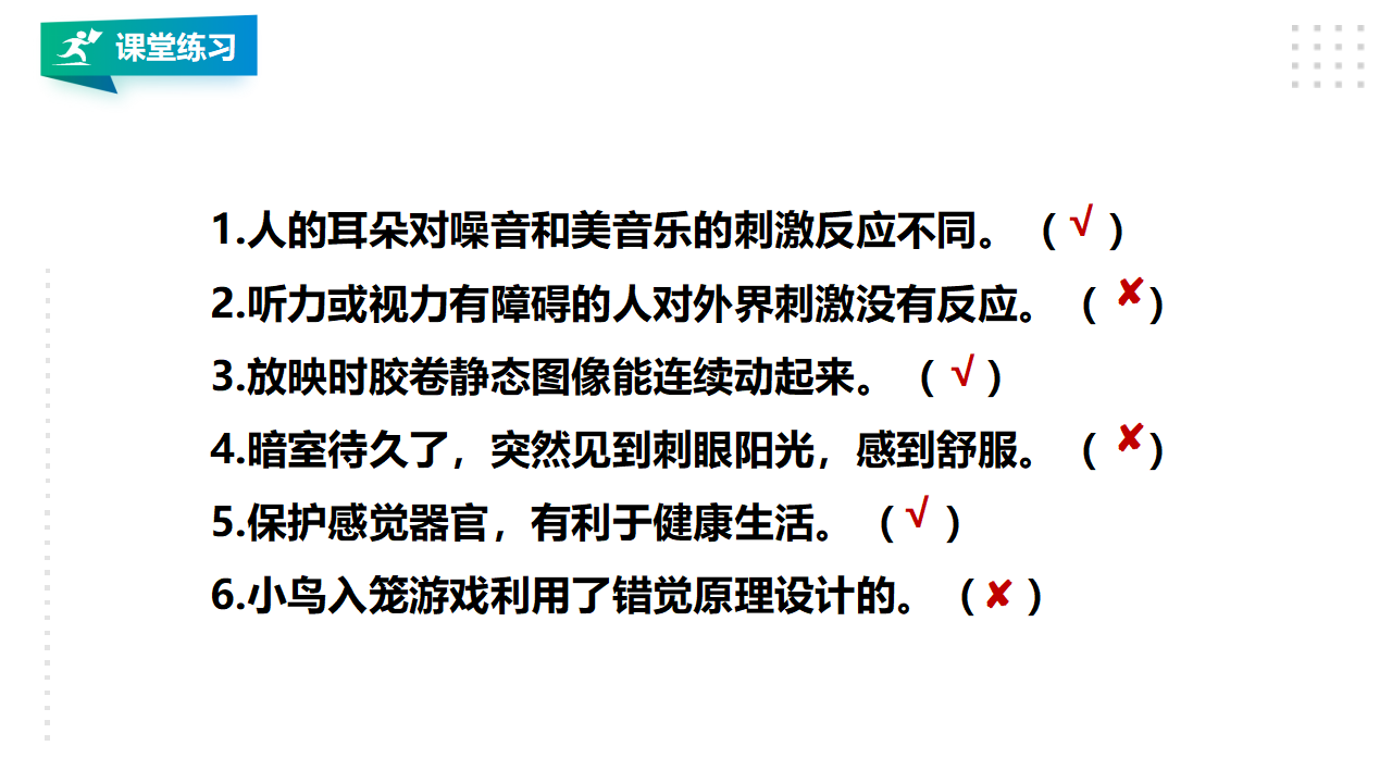 3.8《人的感知与反应》课件（46张PPT）_41.png