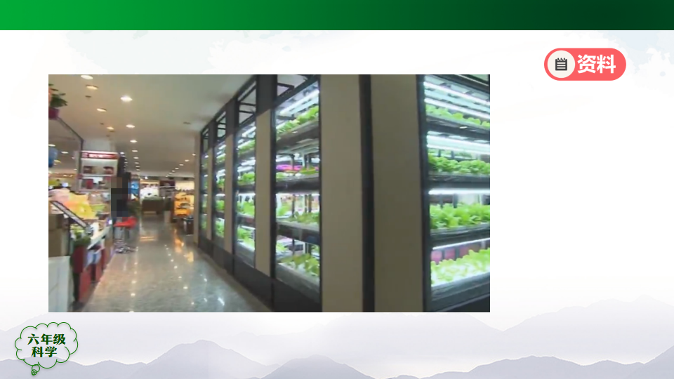 设计与建造“植物工厂”（第二课时）-2课件_37.png
