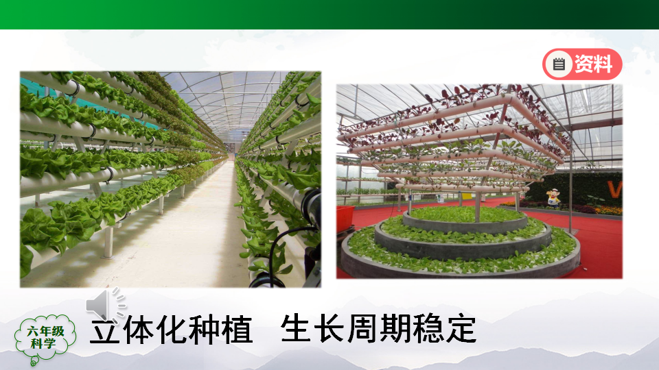 【单元回顾】-第五单元 建造“植物工厂”  人教版共63张PPT_13.png