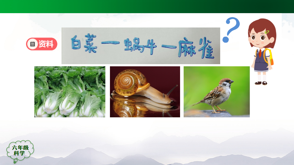 2.6 食物链第一课时 课件39张ppt_16.png