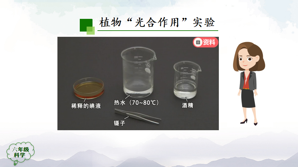 2.5 植物的光合作用第二课时 课件27张ppt 内嵌视频_02.png